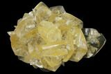 2.7" Twinned Selenite Crystals (Fluorescent) - Red River Floodway - #130286-1